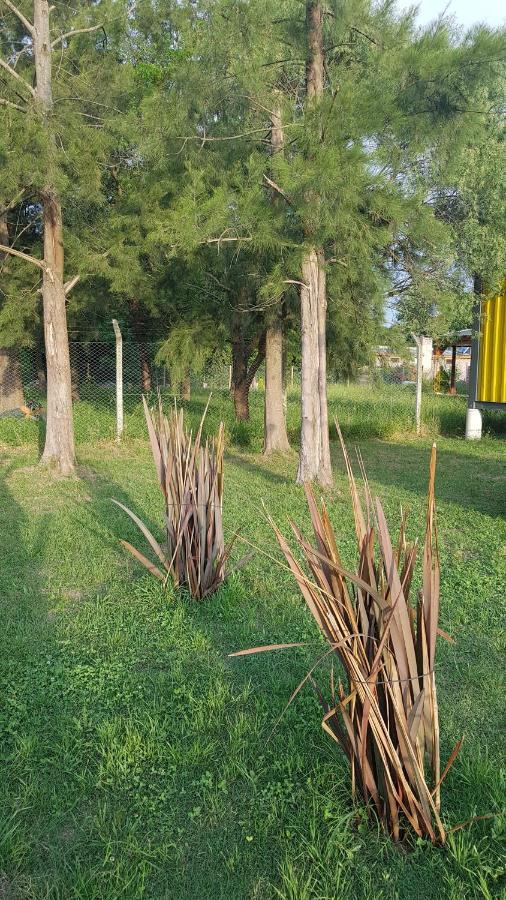 Terrabox Apart De Contenedores Olivera ภายนอก รูปภาพ