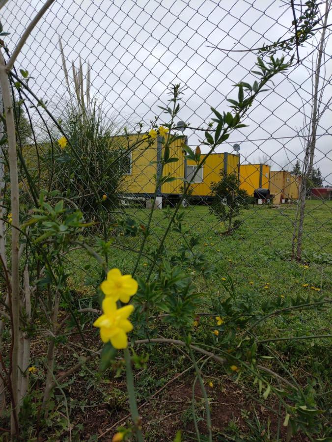 Terrabox Apart De Contenedores Olivera ภายนอก รูปภาพ
